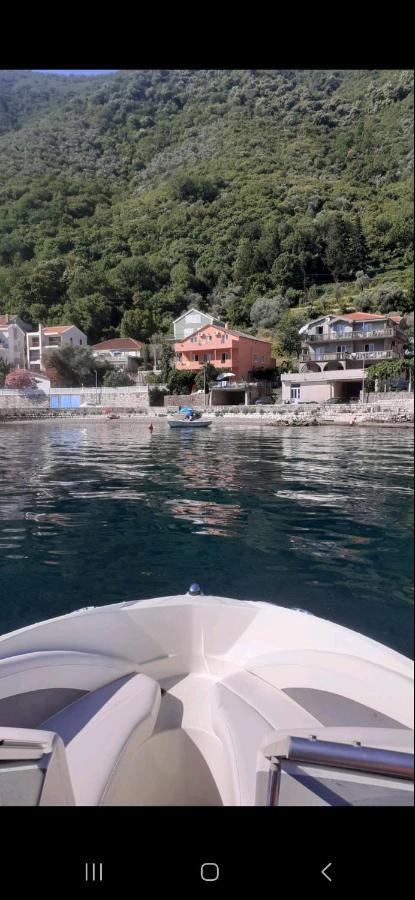 Apartmani Markovic コトル エクステリア 写真